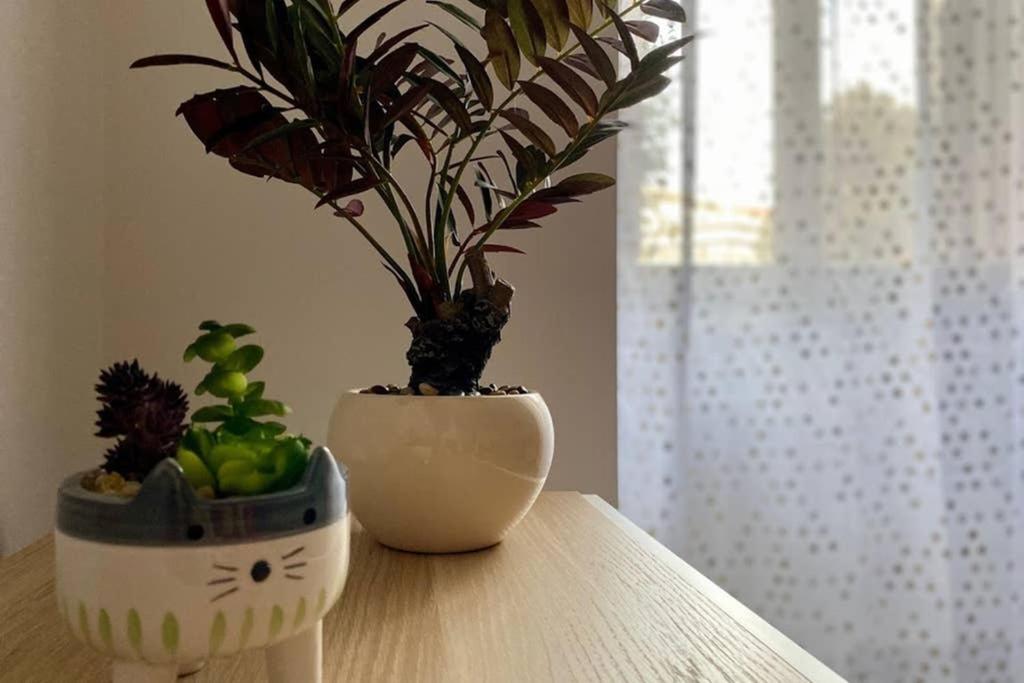 Central Modern Apartment Rome -Locazione Turistica- المظهر الخارجي الصورة